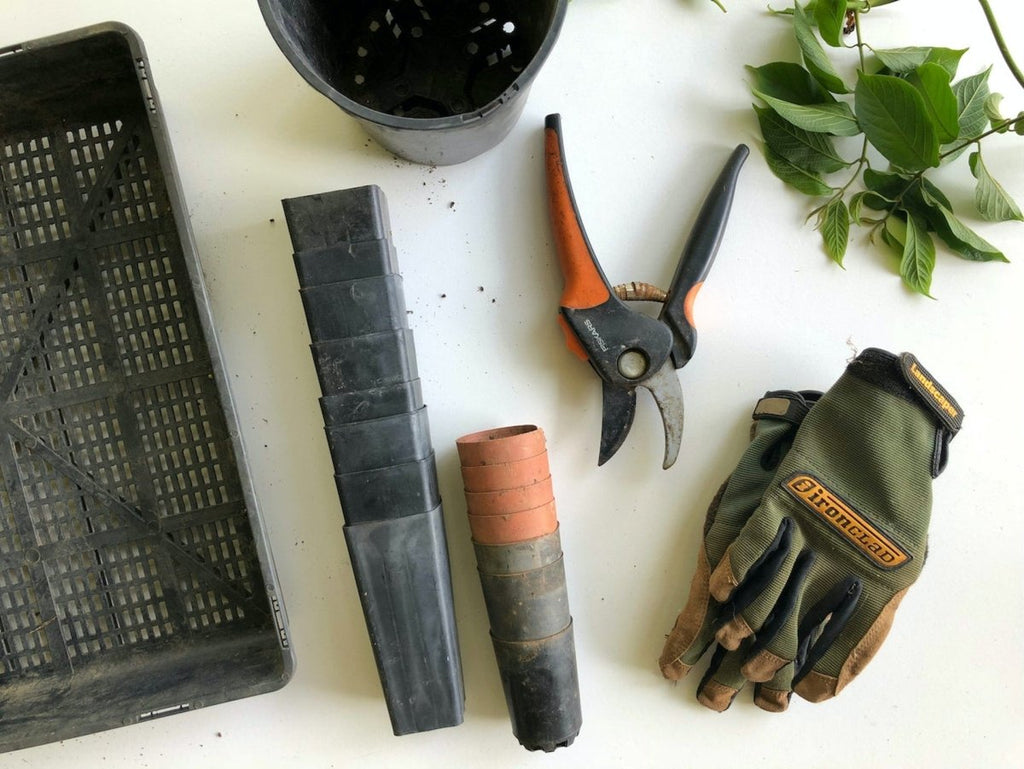 6 Essential Gardening Tools and How to Choose Them - Beales department store