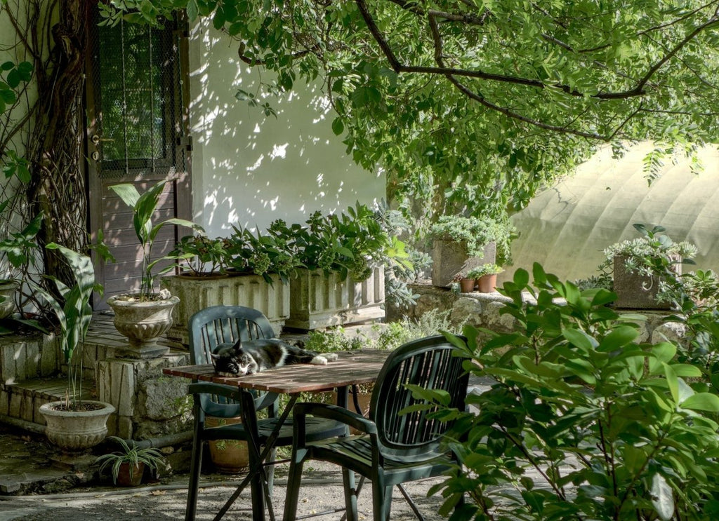 Creating Your Perfect Outdoor Oasis: Choosing the Right Garden Furniture - Beales department store