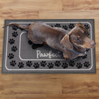 Pawfect Paw Print Grey Pet Mat
