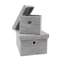 Serena Grey Set of 2 Rectangular Storage Baskets with Lids
