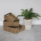 Seagrass Set of 3 Small Rectangular Storage Baskets (Wood Handles)