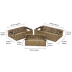 Seagrass Set of 3 Small Rectangular Storage Baskets (Wood Handles)
