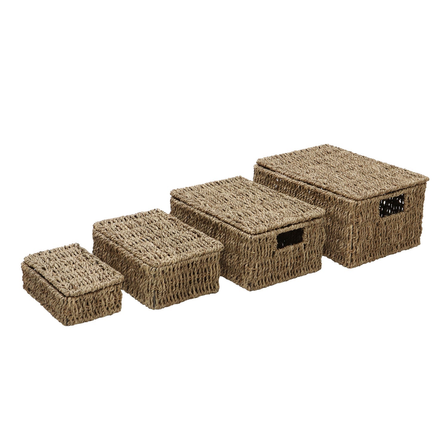 Seagrass Set of 4 Rectangular Lidded Storage Baskets