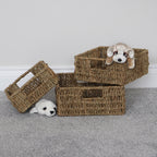 Seagrass Set of 3 Square Storage Baskets