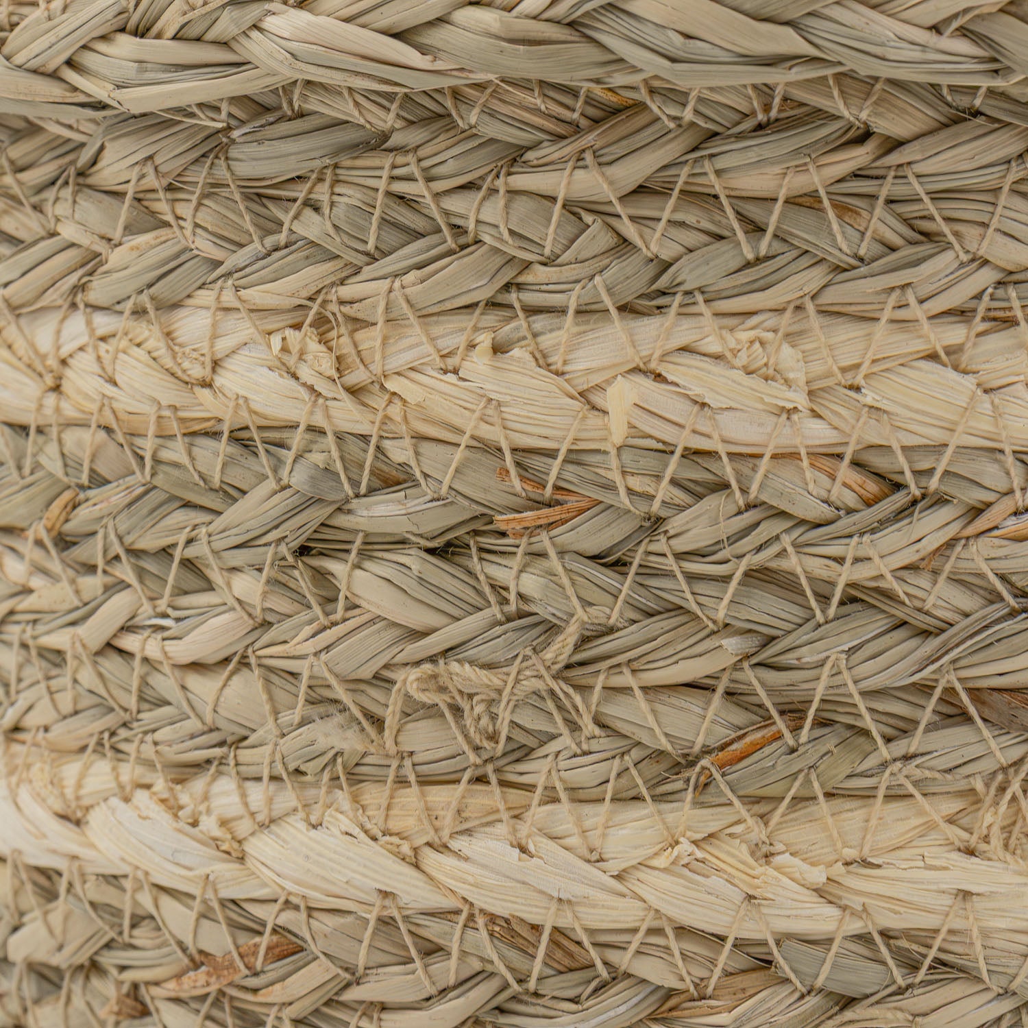 Palma Natural Set of 3 Natural Storage Baskets