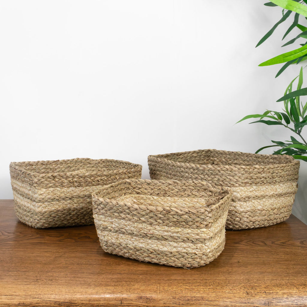 Palma Natural Set of 3 Natural Storage Baskets