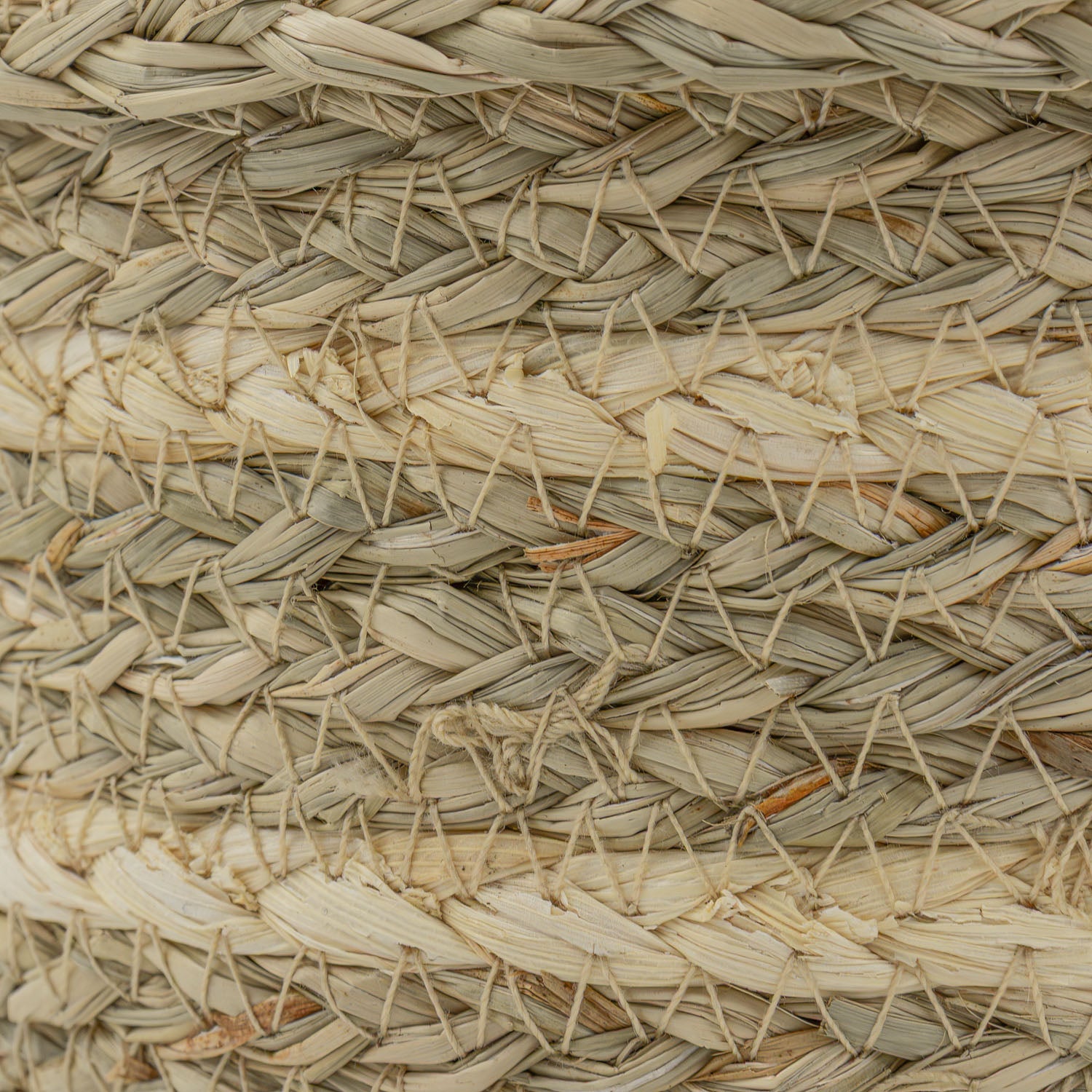 Palma Natural Set of 2 Natural Storage Baskets