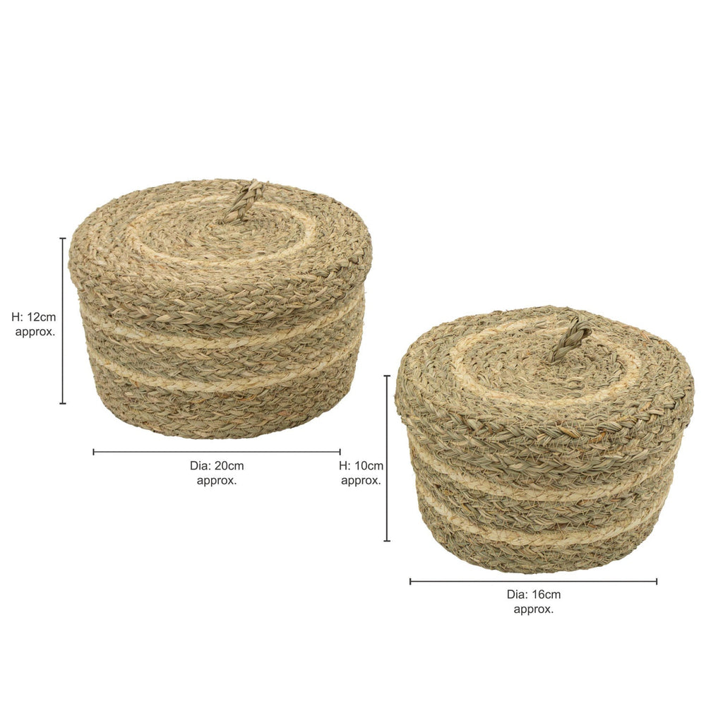 Palma Natural Set of 2 Round Storage Baskets with Lids