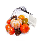 Pumpkin Decorating Kit