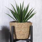 Metal Adjustable Plant Stand | M&W