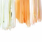 Peach & Gold Streamer Ceiling Kit
