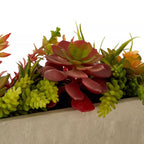 Fiori Mixed Succulents with Cement Pot