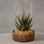 Fiori Small Succulent with Natural Stone Base