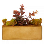 Fiori Mixed Succulents with Ceramic Gold Pot