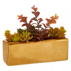 Fiori Mixed Succulents with Ceramic Gold Pot