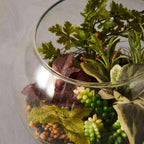 Fiori Large Glass Pot Mixed Succulent