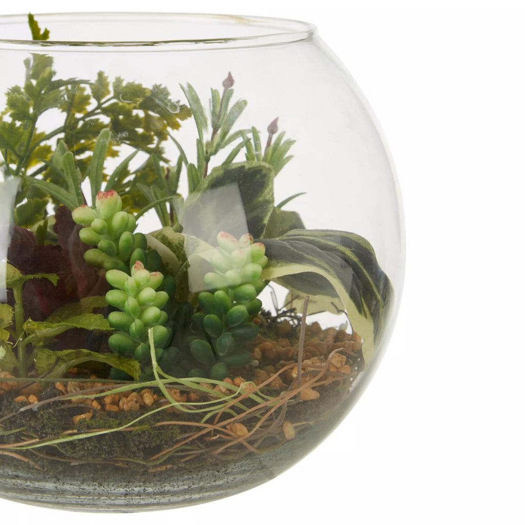 Fiori Large Glass Pot Mixed Succulent
