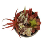 Fiori Mixed Succulents In Large Grey Ceramic Pot