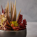 Fiori Mixed Succulents In Large Grey Ceramic Pot