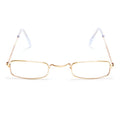 Santa Glasses
