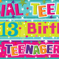13th Teenager Birthday Paper Banners - 1m (3pk)