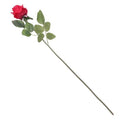 Long Stem Rose - 55cm