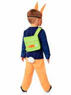 Peter Rabbit TV - Child Costume
