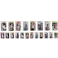 1st Birthday Milestone Photo Banner