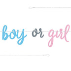 Gender Reveal Boy or Girl Paper Banner - 2.13m
