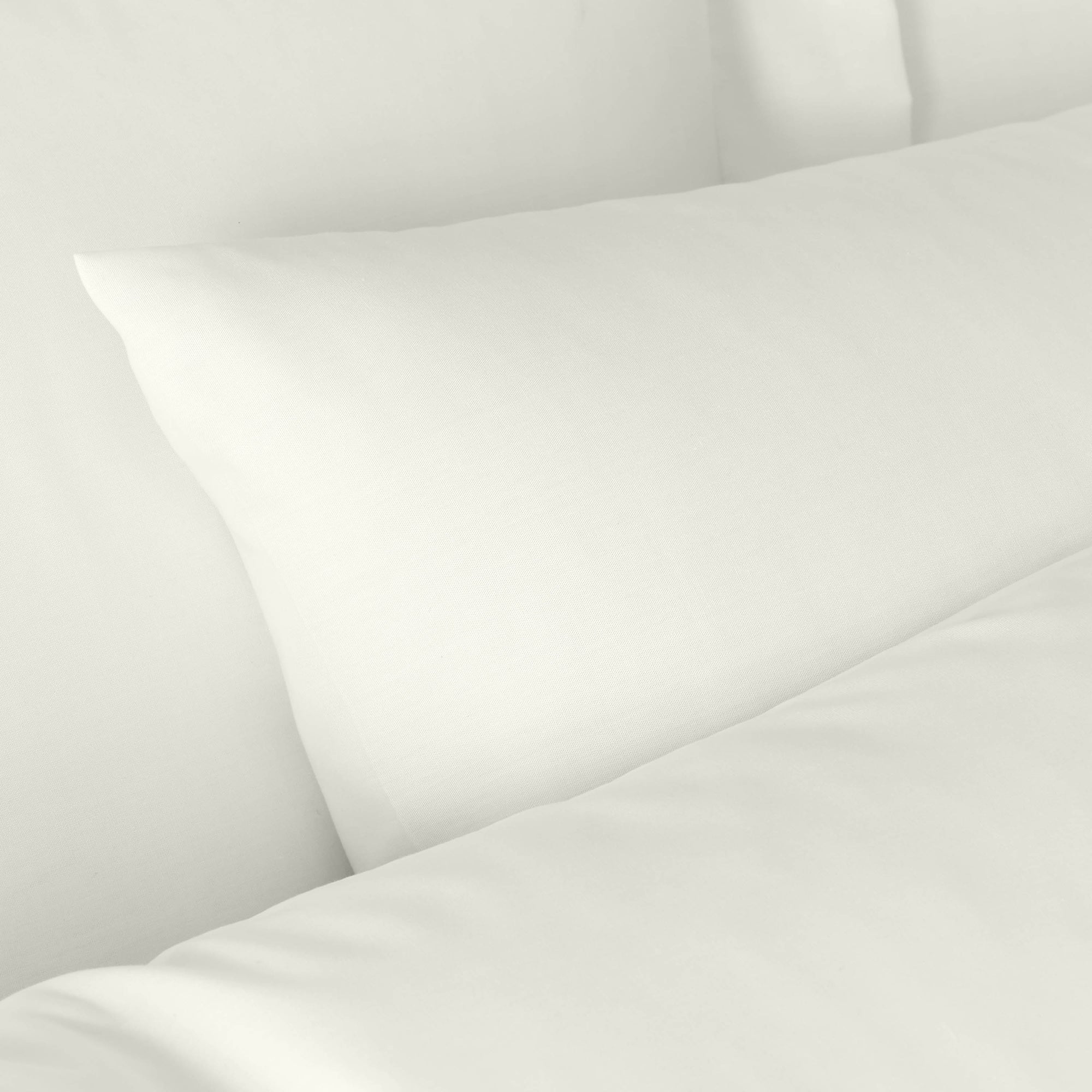 Bianca Cream 180TC Egyptian 100% Cotton Housewife Pillowcase Pair