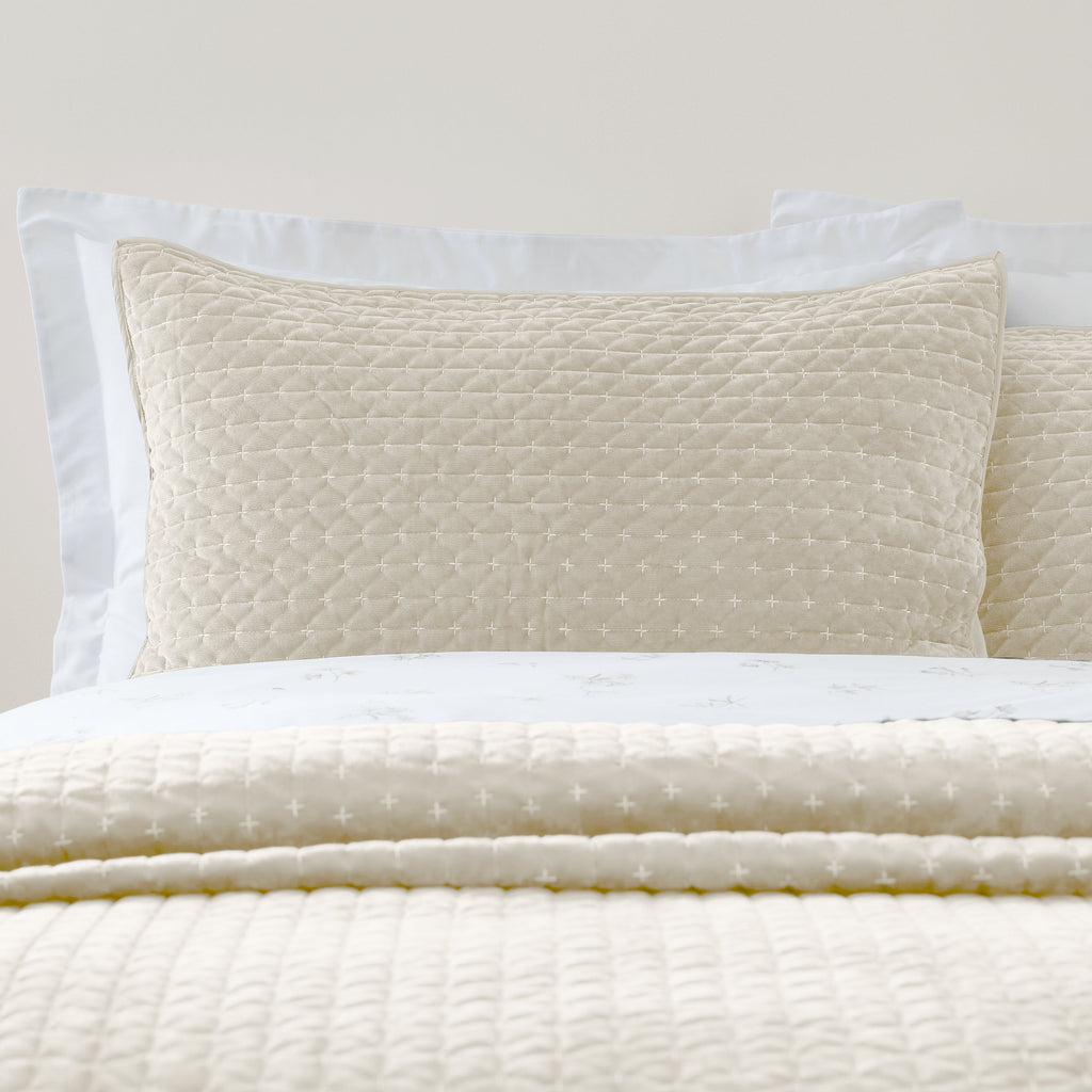 Bianca Attica Natural Velvet Embroidered Pillow Sham Pair
