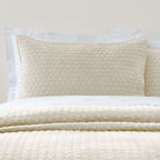 Bianca Attica Natural Velvet Embroidered Pillow Sham Pair