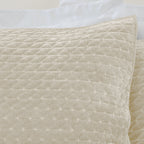 Bianca Attica Natural Velvet Embroidered Pillow Sham Pair