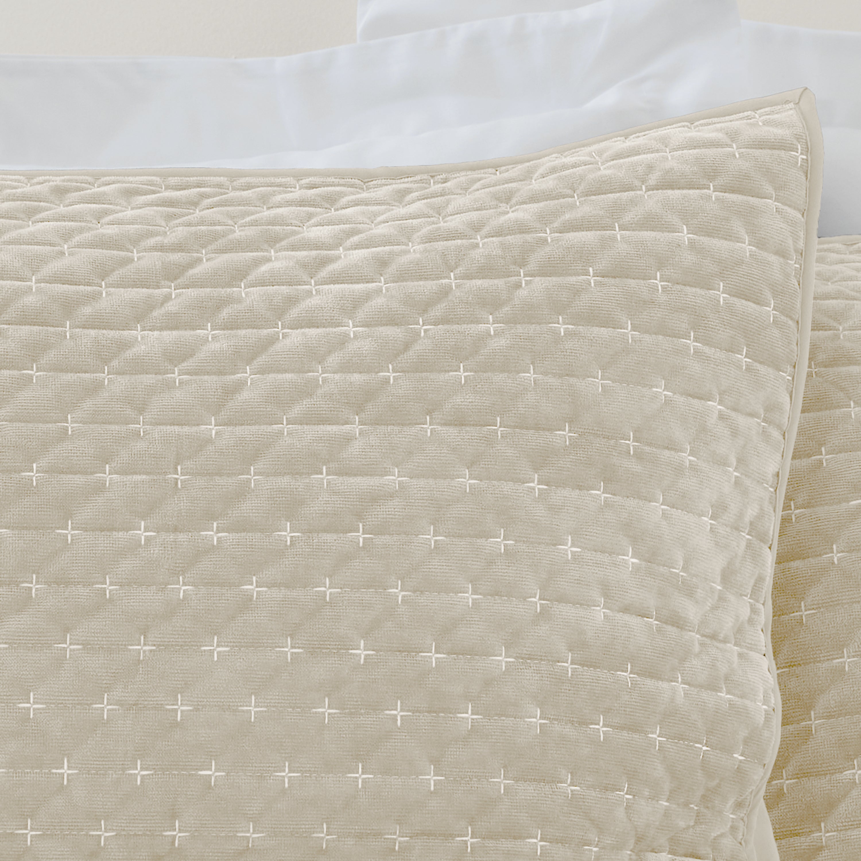 Bianca Attica Natural Velvet Embroidered Pillow Sham Pair
