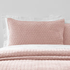 Bianca Attica Pink Velvet Embroidered Pillow Sham Pair