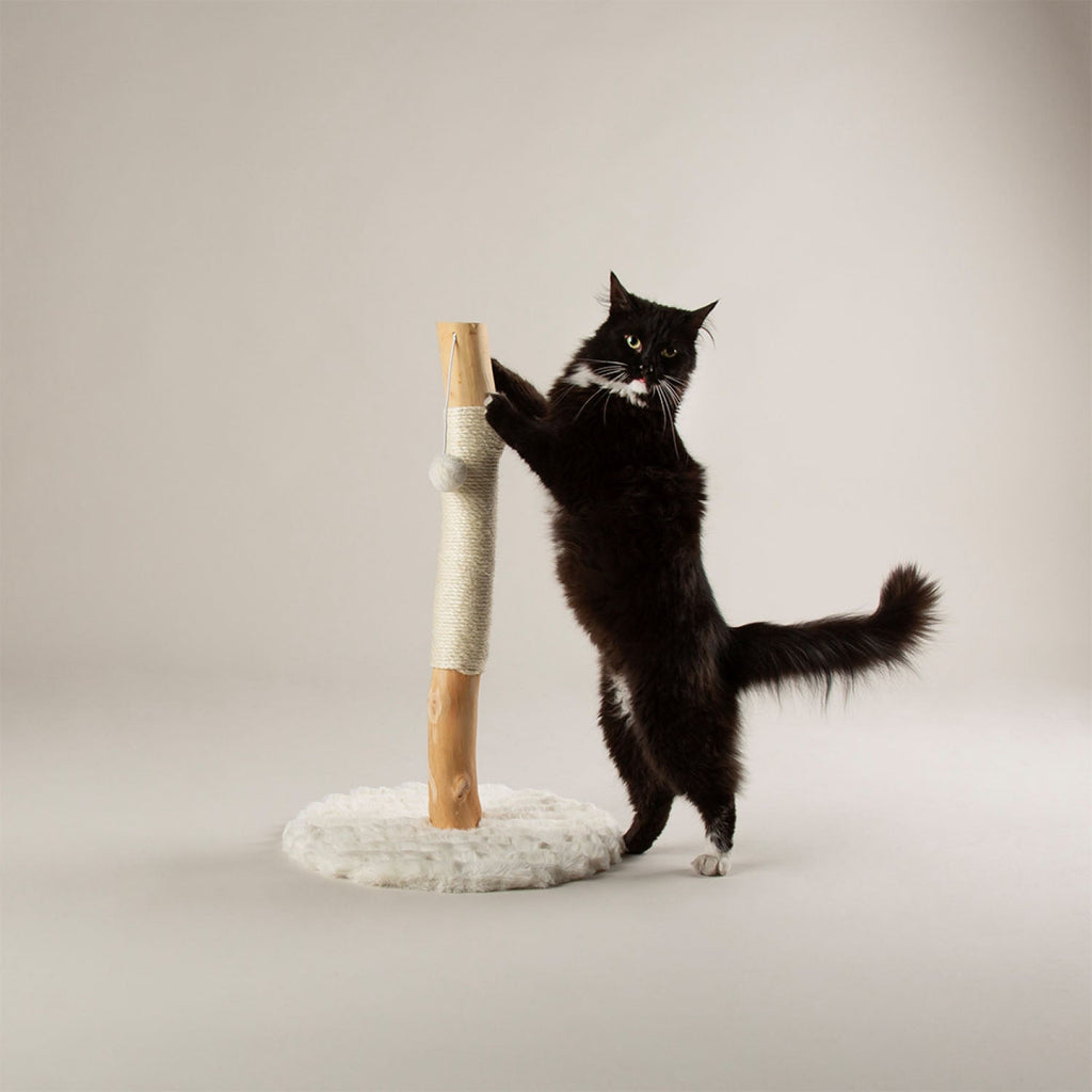 Scruffs Rockies Cream Cat Scratching Tree