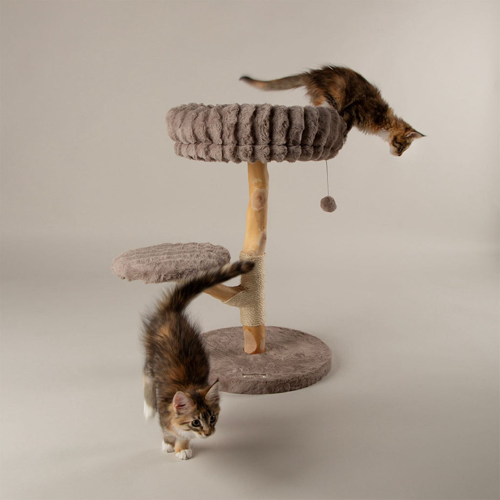 Scruffs Atlas Taupe Cat Scratching Tree