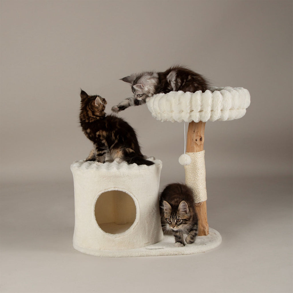 Scruffs Himalayas Cream Cat Scratching Tree