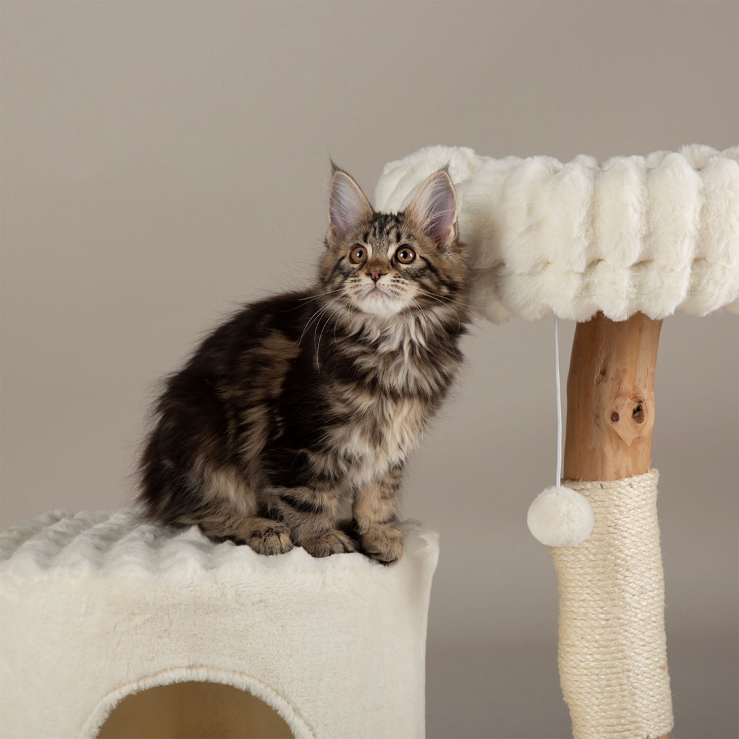 Scruffs Himalayas Cream Cat Scratching Tree