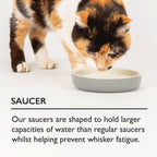 Scruffs Grey Classic Raised Cat Feeder Bowl & Saucer Set