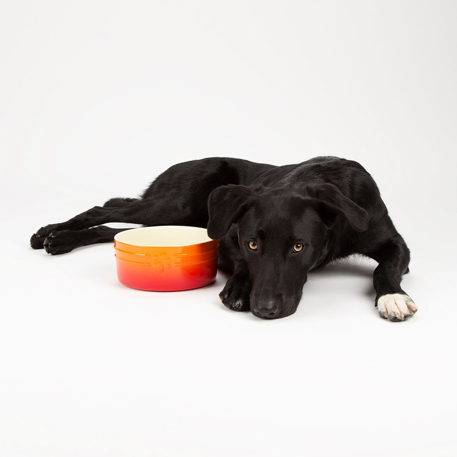 Scruffs Ombre Orange 2 Piece Dog Bowl Set