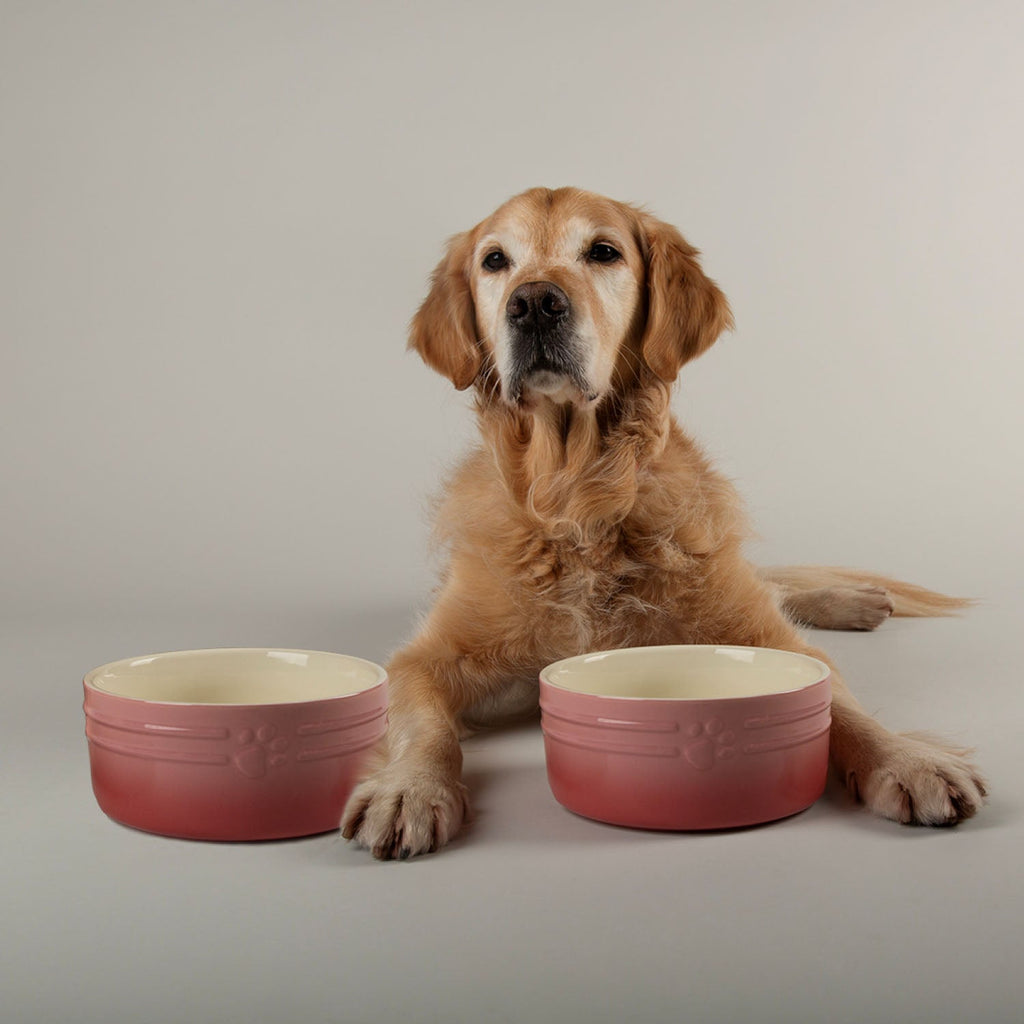 Scruffs Ombre Pink 2 Piece Dog Bowl Set