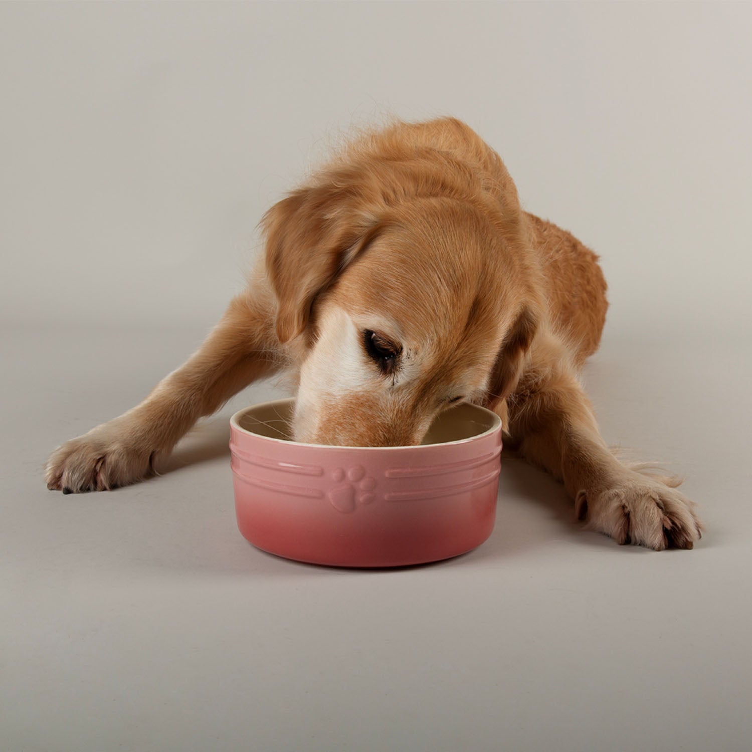 Scruffs Ombre Pink 2 Piece Dog Bowl Set