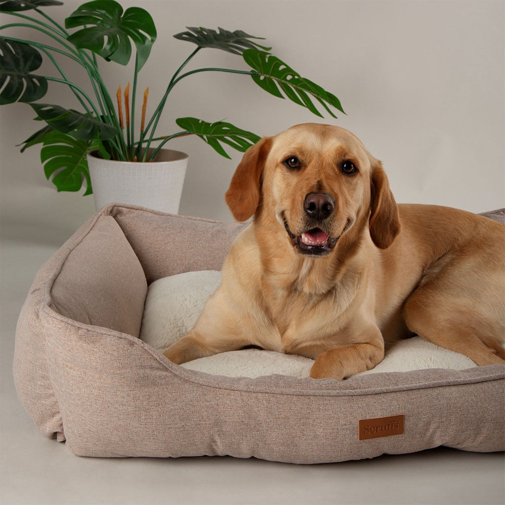 Scruffs Harmony Tan Dog Box Bed