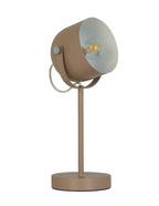 Pink Desk Lamp