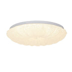 Embossed LED Ceiling Flush Light