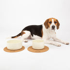 Scruffs Icon Cream Food & Drink Dog Bowl Set