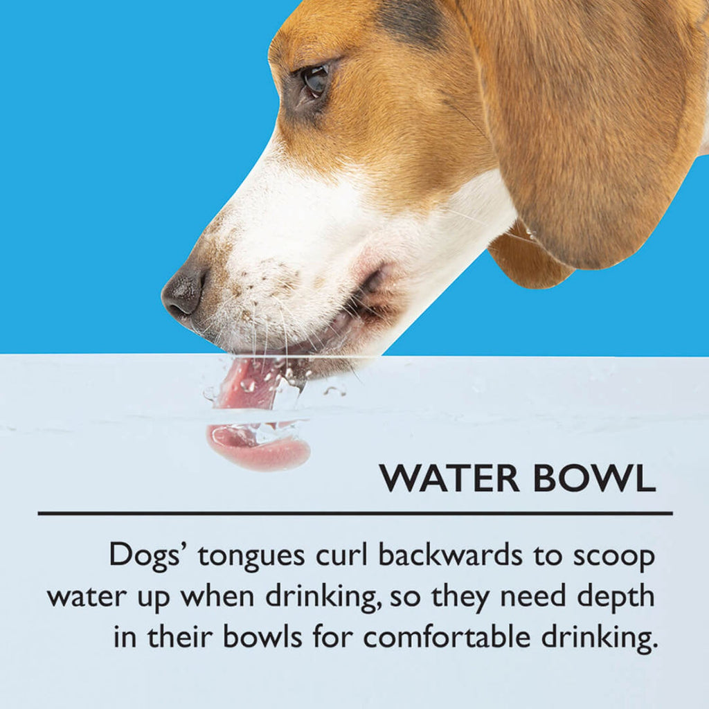 Scruffs Icon Cream Food & Drink Dog Bowl Set
