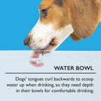 Scruffs Icon Cream Food & Drink Dog Bowl Set