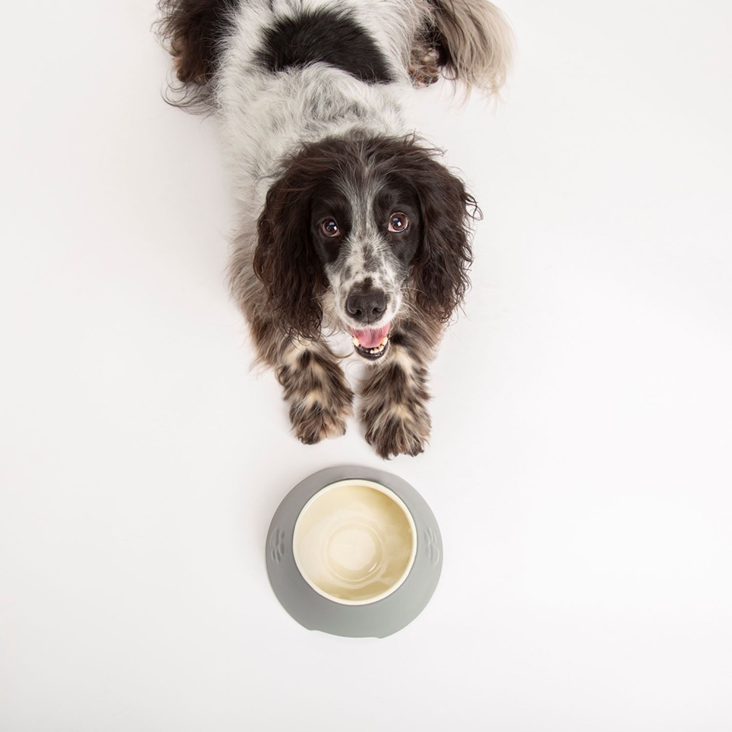 Scruffs Classic Grey 2 Piece Long Eared Dog Bowl Set